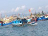 Làng chài và sự phát triển kinh tế Biển ở Bình Định