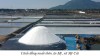 Hiệu quả mô hình sản xuất muối sạch theo công nghệ trải bạt trên đất nền huyện Phù Mỹ
