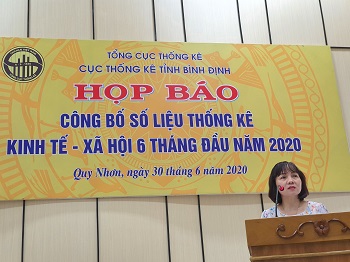 Họp báo công bố số liệu thống kê kinh tế - xã hội tỉnh Bình Định 6 tháng đầu năm 2020