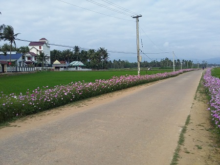 Tăng Long 2   Tam Quan Nam