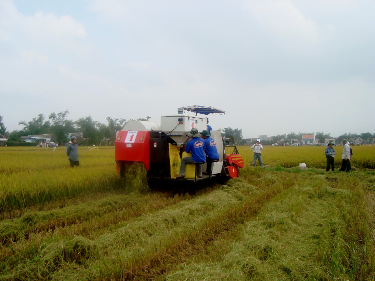 Cơ giới hóa nông nghiệp tại huyện Tuy Phước