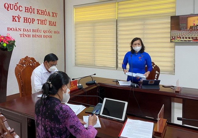 Đoàn ĐBQH tỉnh Bình Định góp ý một số dự án luật