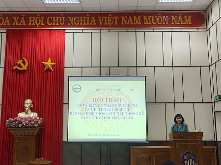 Cục Thống kê tỉnh Bình Định tổ chức Hội thảo góp ý dự thảo Quyết định của Thủ tướng Chính phủ ban hành Hệ thống chỉ tiêu Thống kê cấp tỉnh, cấp huyện, cấp xã