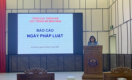 Đồng chí Nguyễn Thị Mỹ, Cục trưởng Cục Thống kê tỉnh Bình Định phổ biến các văn bản